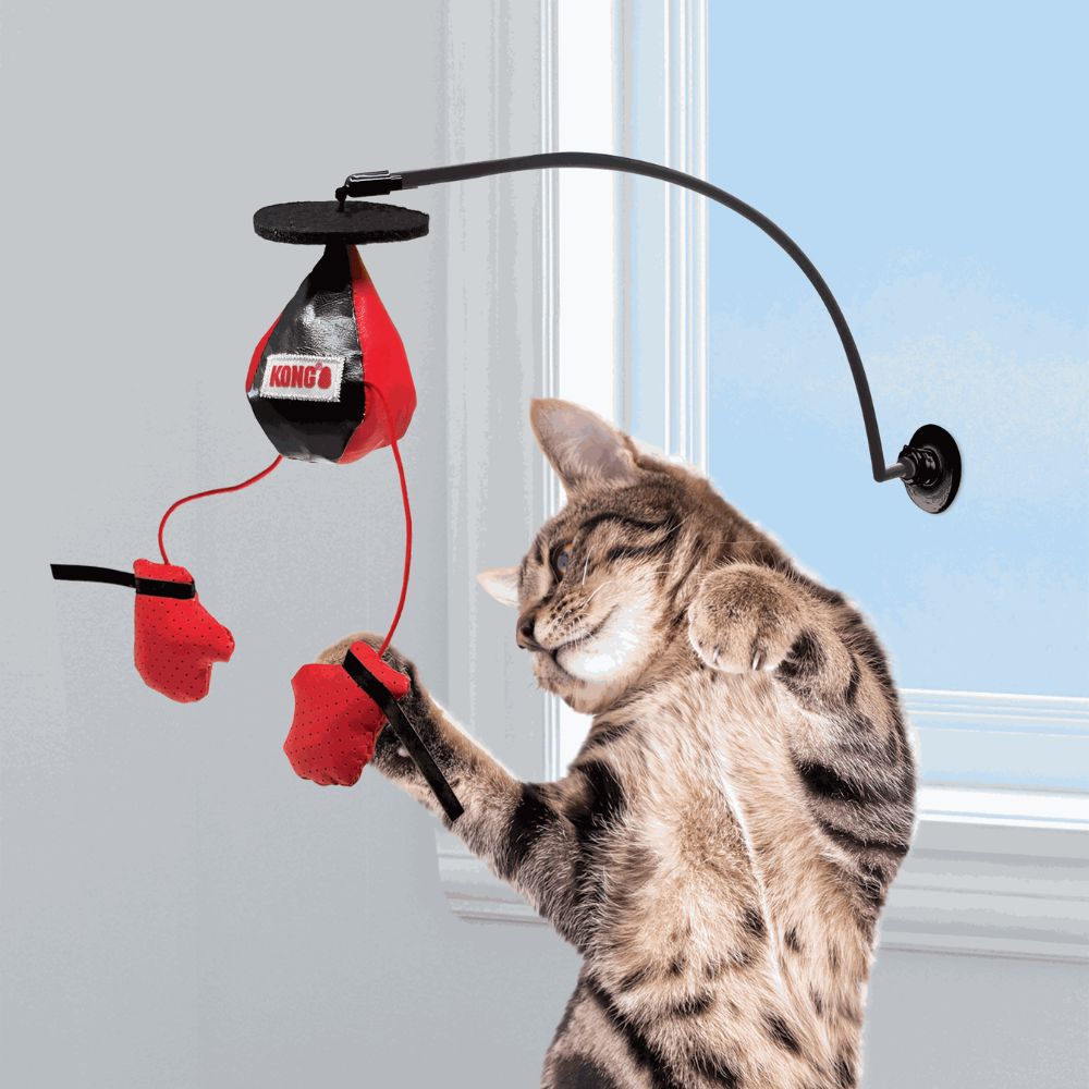 Kong Juguete Para Gato Connects Boxeo Ventana