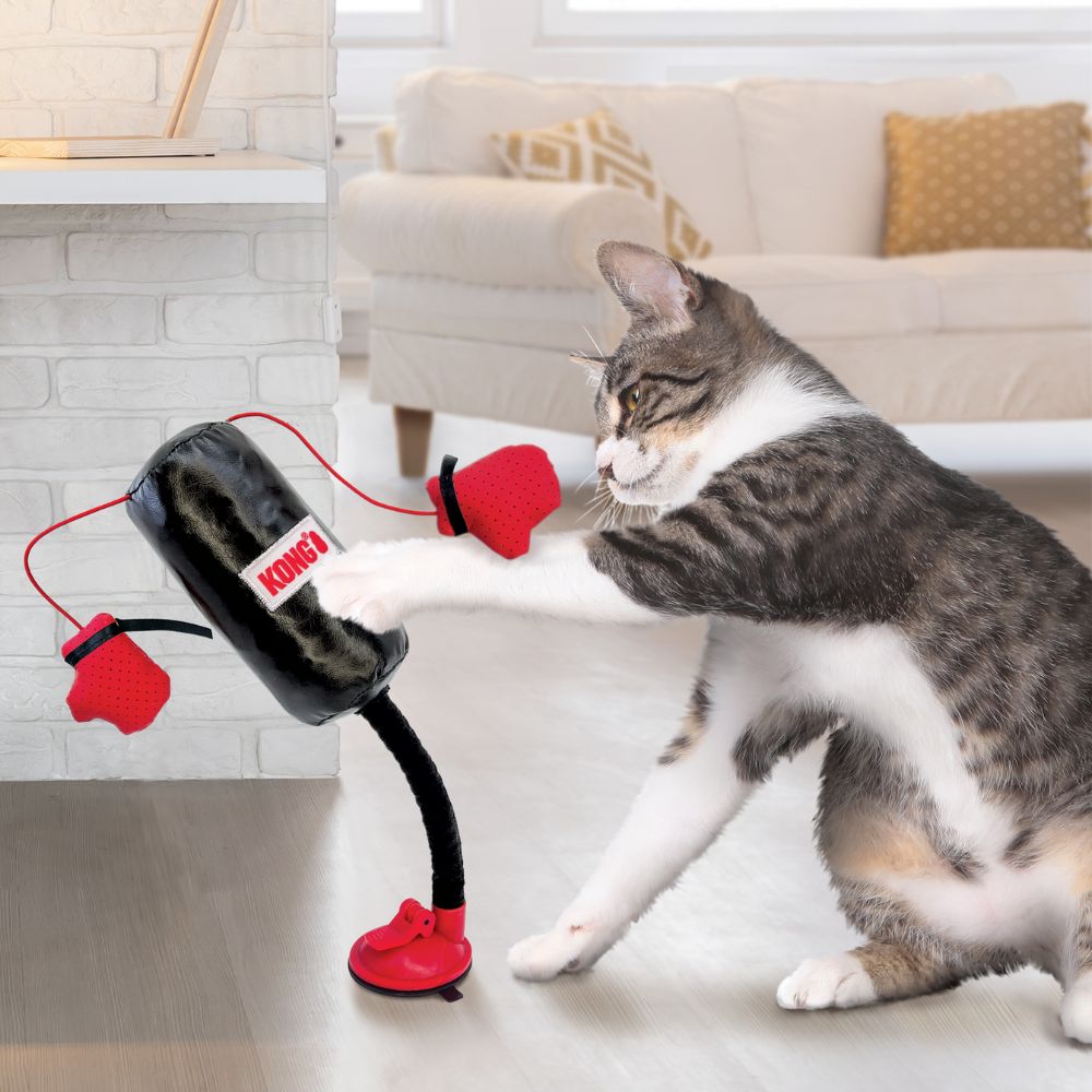 Kong Juguete Para Gato Juguete connects saco de boxeo