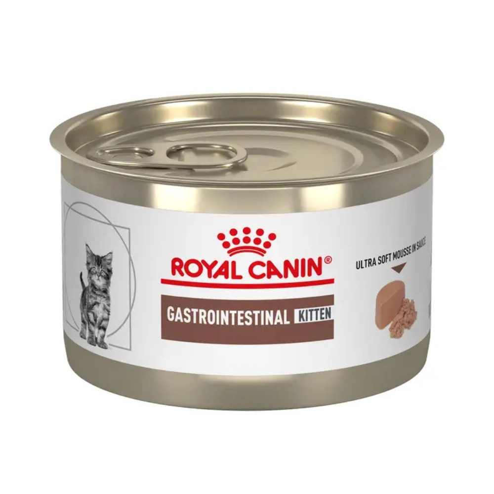 Alimento húmedo para gatos Royal Canin Cachorros Gastrointestinal 145gr