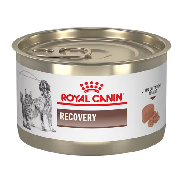 Alimento húmedo para perros y gatos Royal Canin Recovery 145gr
