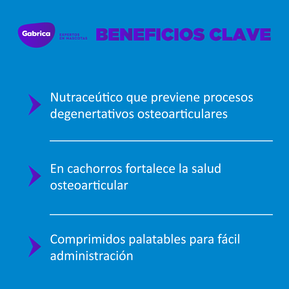 Suplemento Ol Trans Flex para Perros Blister 7 a 70 Comprimidos