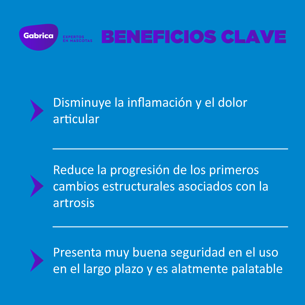 Rimadyl Antiinflamatorio Perro x 60 Tabletas