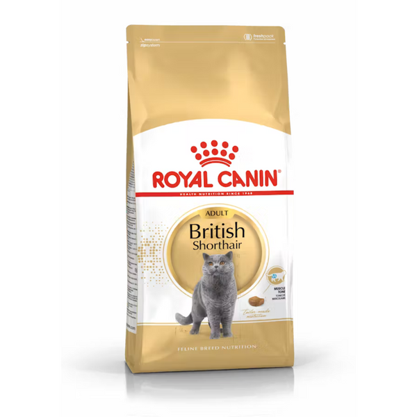 Alimento para gatos Royal Canin Adult British Shorthair 2KG