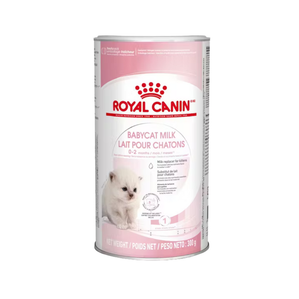 Lactoreemplazador Royal Canin gatos 300gr