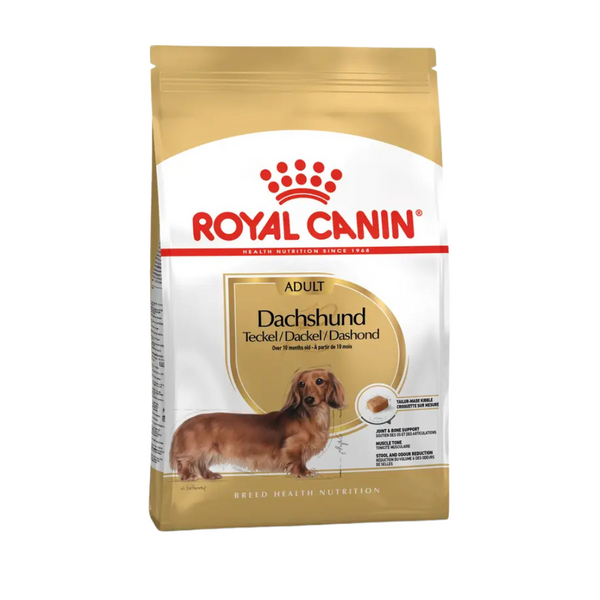 Comida para perros Royal Canin Dachshund Adulto 1.5kg