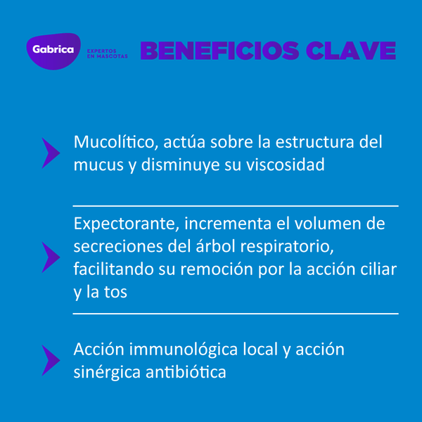 Mucolítico Solubron para Perros y Gatos 20mg 30 Tabletas