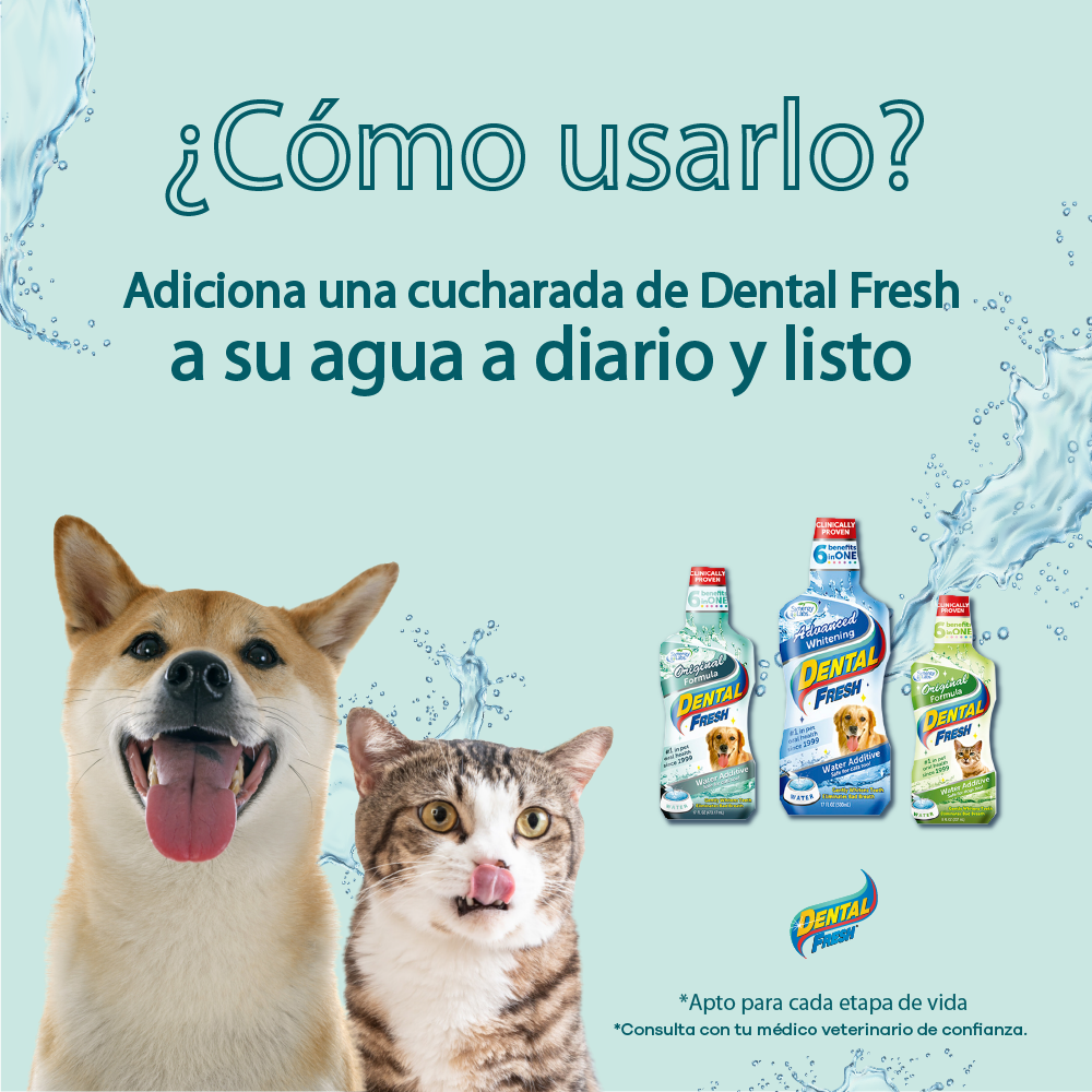 Enjuague Bucal para perro y gato Dental Fresh Original 4 oz