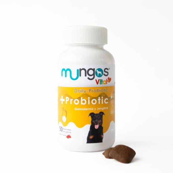 Suplemento Para Perro Mungos Vital Probióticos 50 Nuggets