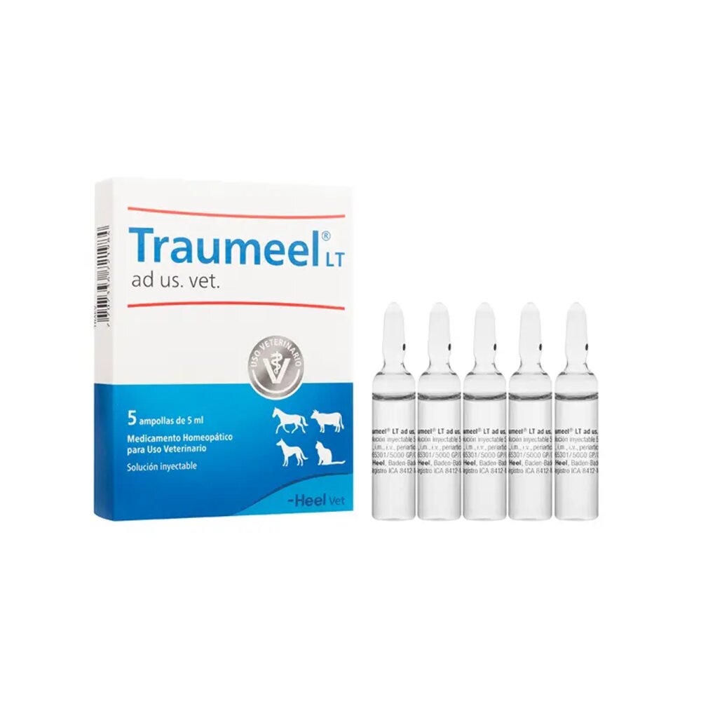 Traumeel Ampollas