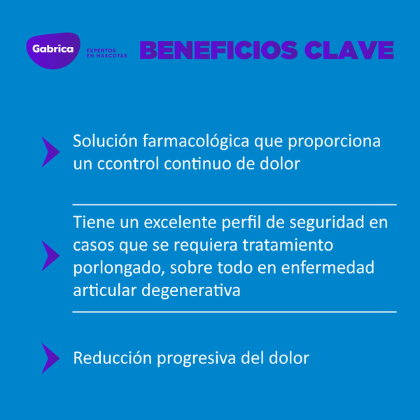 Trocoxil Antiinflamatorio Perros 75Mg Tabletas