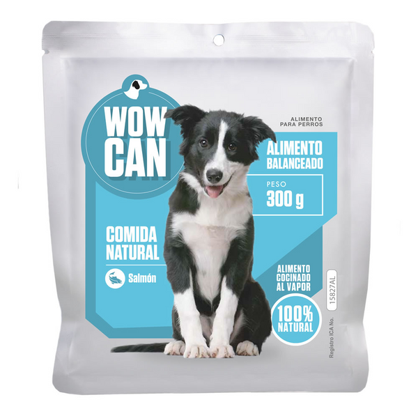 Alimento húmedo para perros Wow Can Salmón 300 Gr