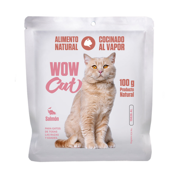 Alimento húmedo para gatos Wow Cat Salmon 100gr