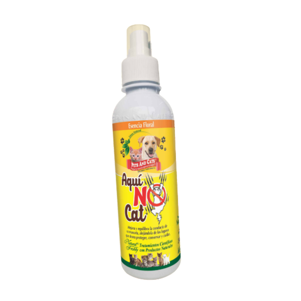 Aquí no Cat 240ml