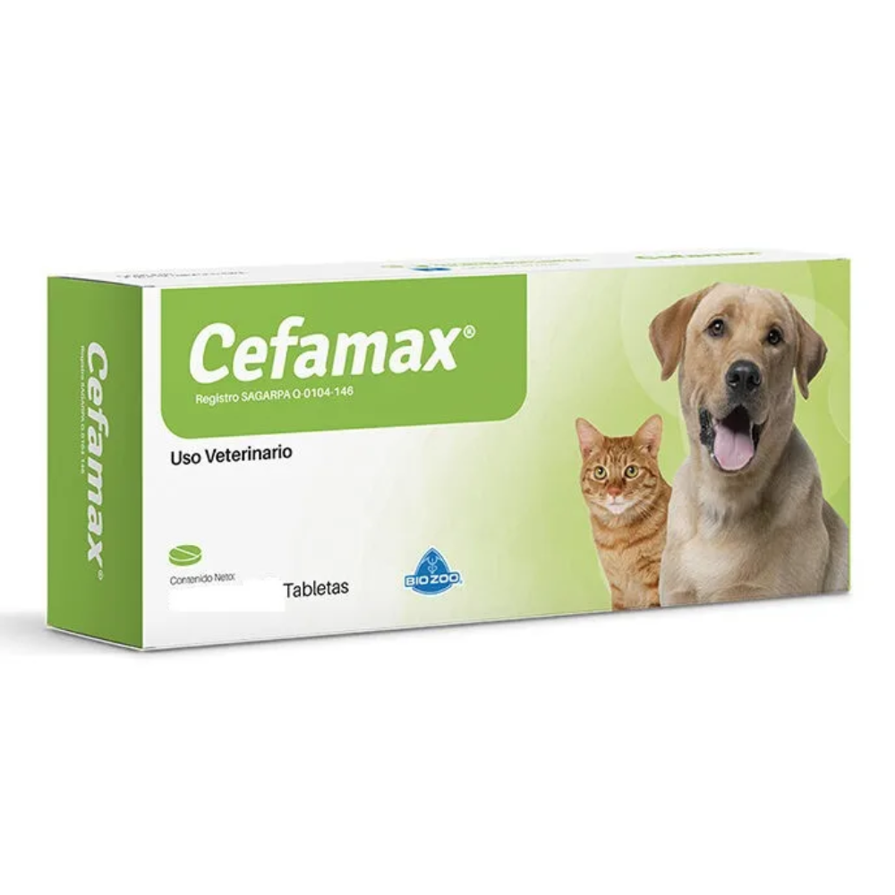 Antibiótico para perros y gatos Cefamax