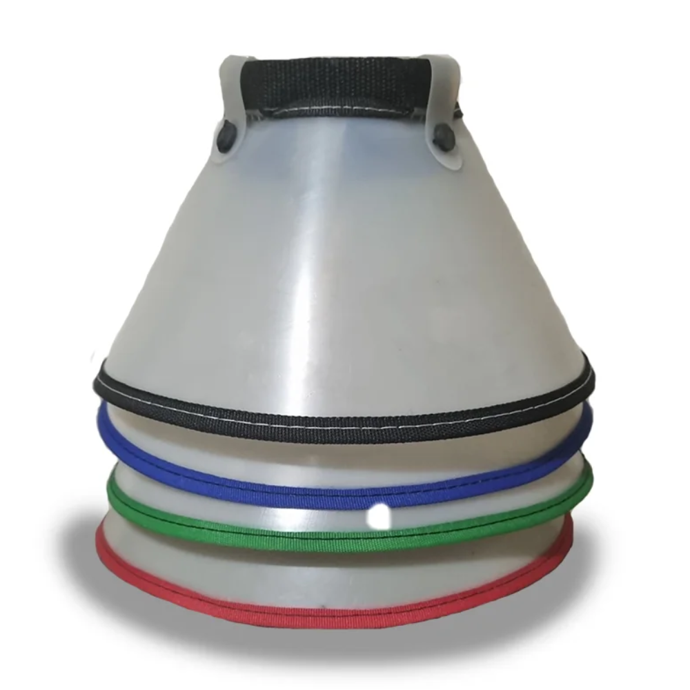 Collar Isabelino