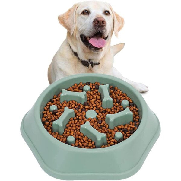 Comedero Antireflujo