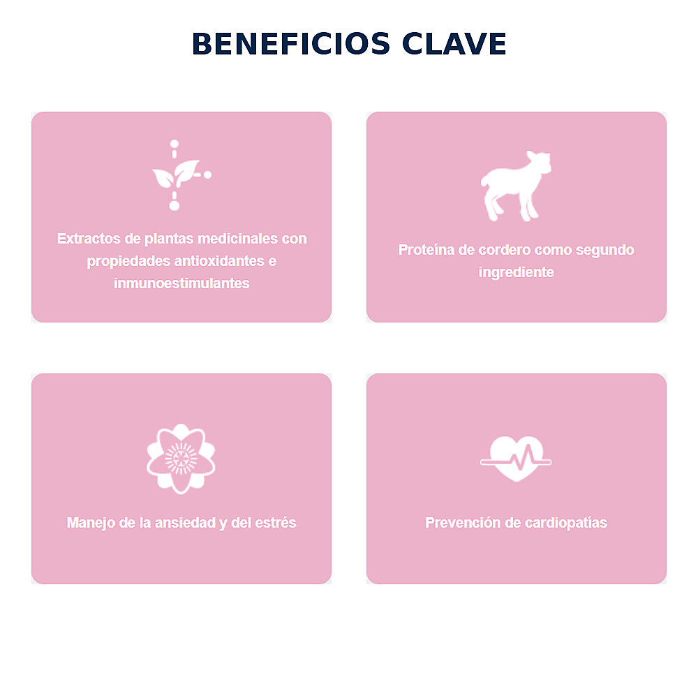 Comida Para Perros Nupec Adulto Raza Mini