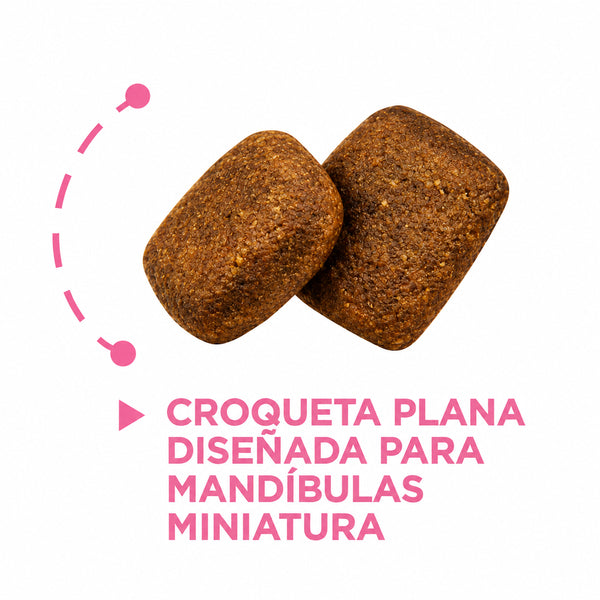 Comida Para Perros Nupec Adulto Raza Mini
