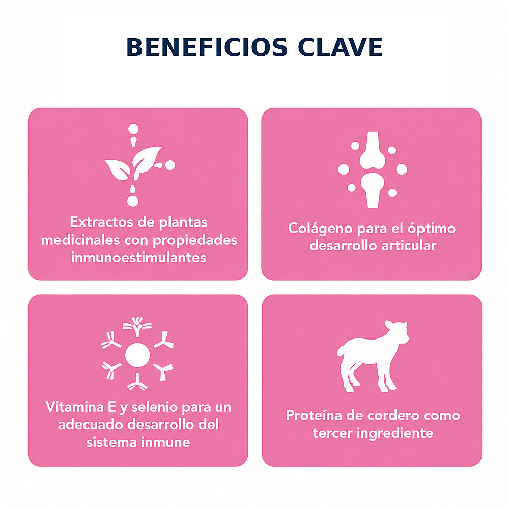 Comida Para Perros Nupec Cachorro Raza Mini