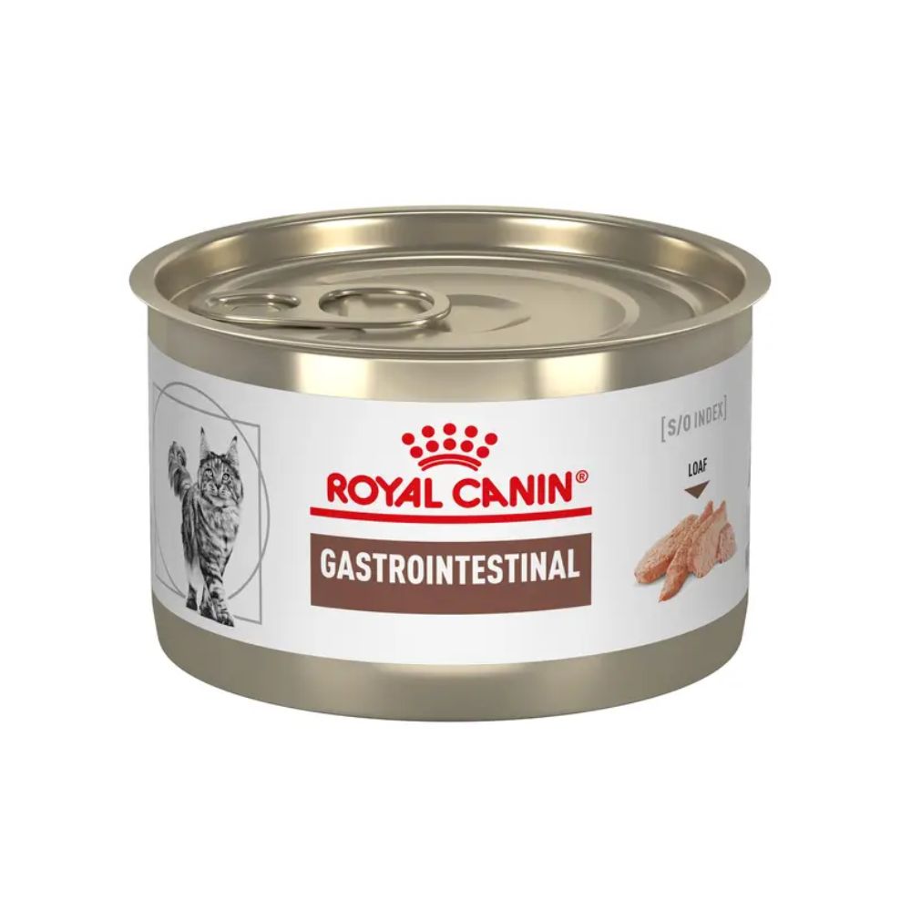 Alimento Húmedo Para Gatos Royal Canin Adulto gastrointestinal 85gr