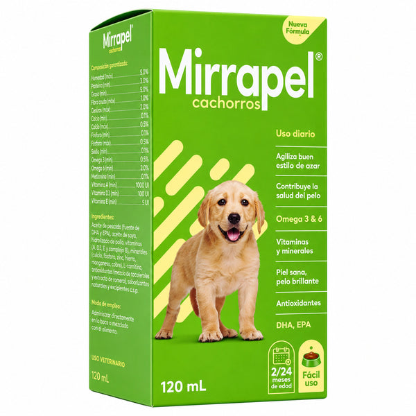 Mirrapel Cachorros