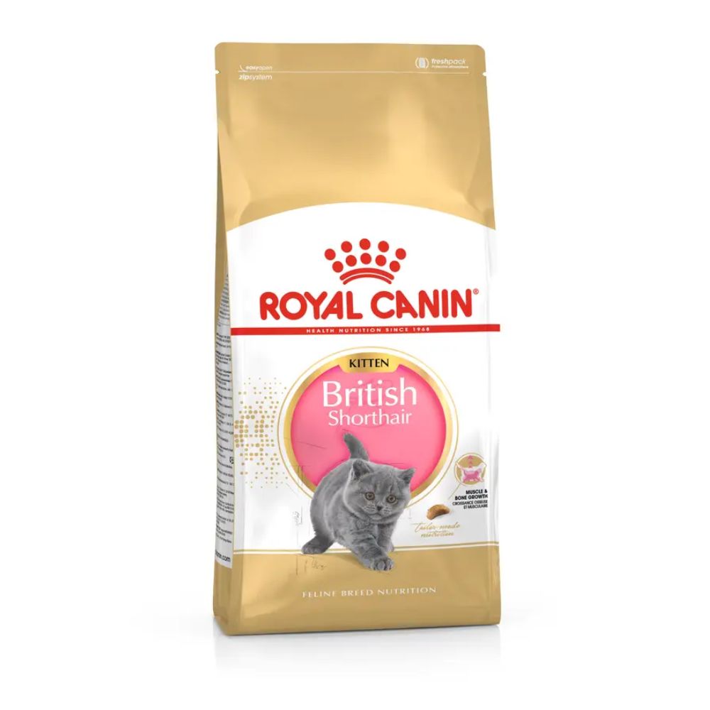 Comida para gatos Royal Canin British Shorthair  Kitten 2Kg