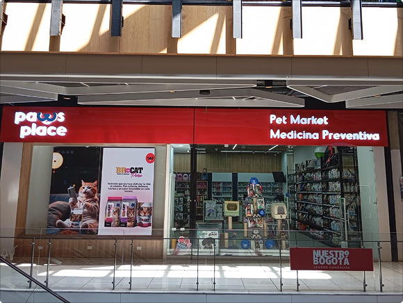 8 años de experiencia